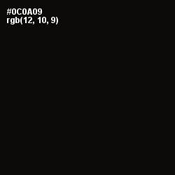 #0C0A09 - Cod Gray Color Image