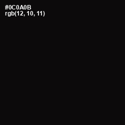 #0C0A0B - Cod Gray Color Image