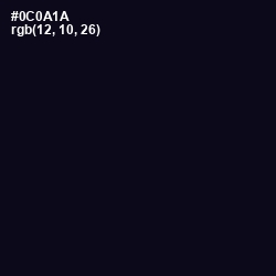 #0C0A1A - Ebony Color Image