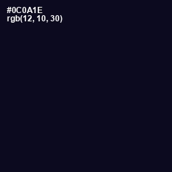 #0C0A1E - Ebony Color Image