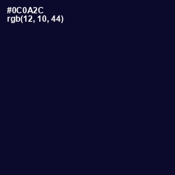 #0C0A2C - Black Rock Color Image