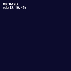 #0C0A2D - Black Rock Color Image