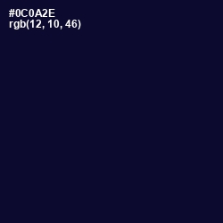 #0C0A2E - Black Rock Color Image