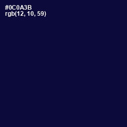 #0C0A3B - Black Rock Color Image