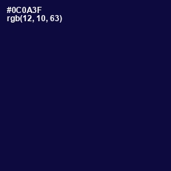 #0C0A3F - Black Rock Color Image