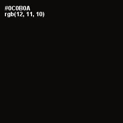 #0C0B0A - Cod Gray Color Image