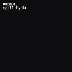 #0C0B10 - Cinder Color Image