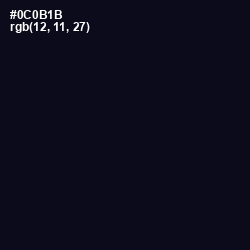 #0C0B1B - Ebony Color Image