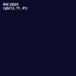 #0C0B29 - Black Rock Color Image