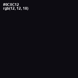 #0C0C12 - Cinder Color Image