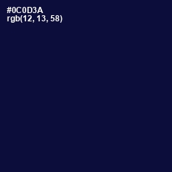 #0C0D3A - Black Rock Color Image