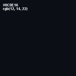 #0C0E16 - Cinder Color Image