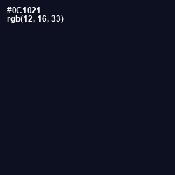 #0C1021 - Black Pearl Color Image