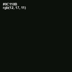 #0C110B - Gordons Green Color Image