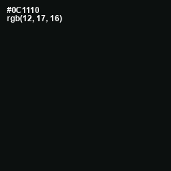 #0C1110 - Bunker Color Image