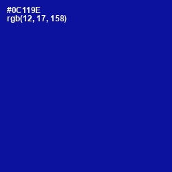 #0C119E - Ultramarine Color Image