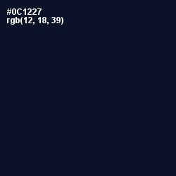 #0C1227 - Black Pearl Color Image