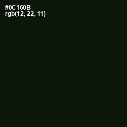 #0C160B - Gordons Green Color Image