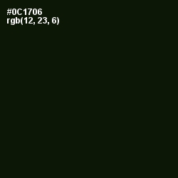 #0C1706 - Black Forest Color Image