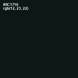 #0C1716 - Bunker Color Image