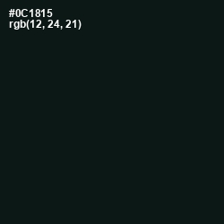 #0C1815 - Racing Green Color Image