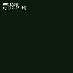 #0C1A0B - Gordons Green Color Image