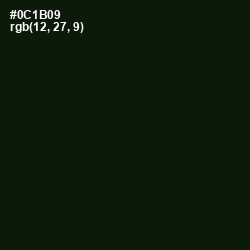 #0C1B09 - Black Forest Color Image