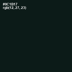 #0C1B17 - Racing Green Color Image