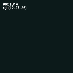 #0C1B1A - Aztec Color Image