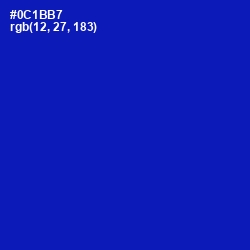 #0C1BB7 - International Klein Blue Color Image