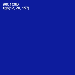 #0C1C9D - Ultramarine Color Image