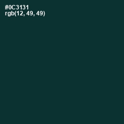 #0C3131 - Tiber Color Image
