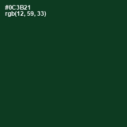#0C3B21 - Bottle Green Color Image