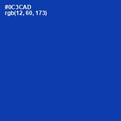 #0C3CAD - International Klein Blue Color Image