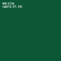 #0C5736 - Sherwood Green Color Image