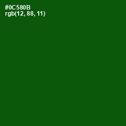 #0C580B - Dark Fern Color Image