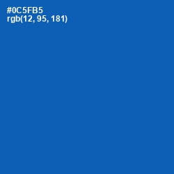 #0C5FB5 - Fun Blue Color Image