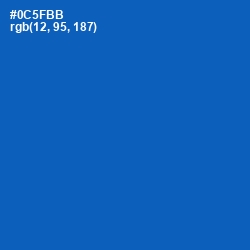 #0C5FBB - Fun Blue Color Image