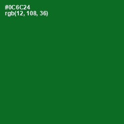 #0C6C24 - Fun Green Color Image