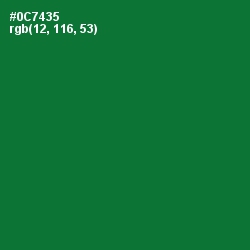 #0C7435 - Fun Green Color Image