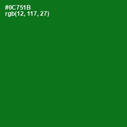 #0C751B - Japanese Laurel Color Image