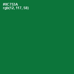#0C753A - Fun Green Color Image