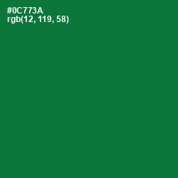 #0C773A - Fun Green Color Image