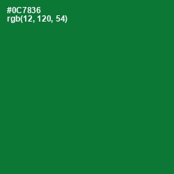 #0C7836 - Fun Green Color Image