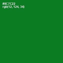 #0C7C22 - Fun Green Color Image