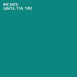 #0C867E - Elf Green Color Image