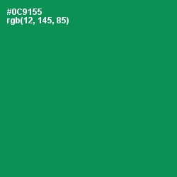 #0C9155 - Green Haze Color Image