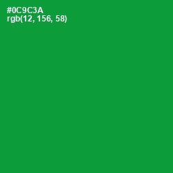#0C9C3A - Forest Green Color Image