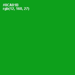 #0CA01B - Forest Green Color Image