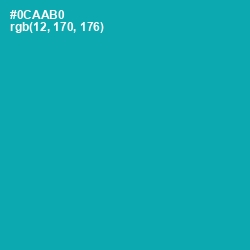 #0CAAB0 - Eastern Blue Color Image